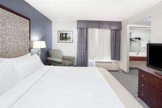 Holiday Inn & Suites Chicago-Carol Stream Wheaton by IHG - Carol Stream - 4