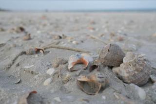 Panoramis Residence By the Sea - 2