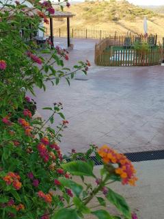 Casas Rurales el Balcon de la Brena - Almodóvar del Río - 1
