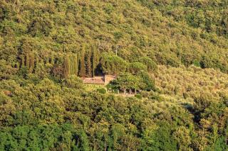Cosoli - Radda in Chianti - 6
