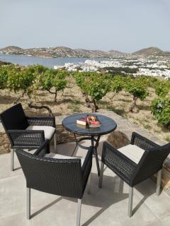 WONDERFUL SEA VIEW - Parikia - 7