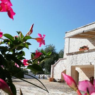 Pietra Pesara - Locorotondo - 4