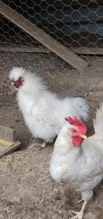 La Guardata Agriturismo - 6