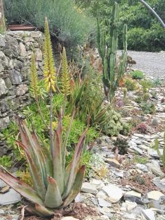 Terre Di Garlenda - Garlenda - 2
