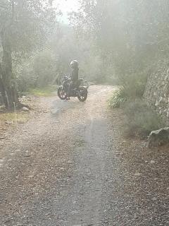 Terre Di Garlenda - Garlenda - 1