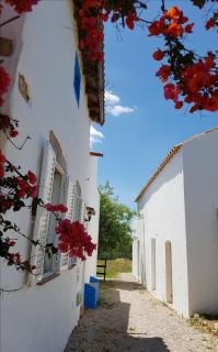 Quinta dos Cochichos - Country Houses - Olhão - 4