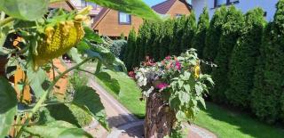 Domki BLANKA Jastarnia - 6