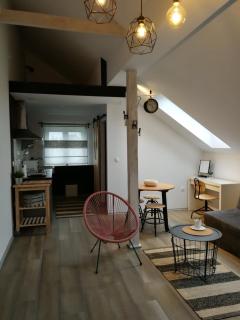 Studio apartman HANA - Drežnik Grad - 0