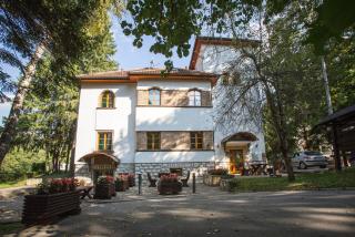 Garni Hotel Vila Drina - Perućac - 9