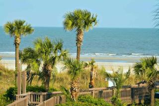 Hilton Head Beach Club Unit 8 - Hilton Head Island - 1