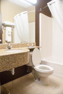 Microtel Inn & Suites by Wyndham Jacksonville Airport - Jacksonville - 1