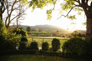 Somersal Bed & Breakfast - Pirongia - 3