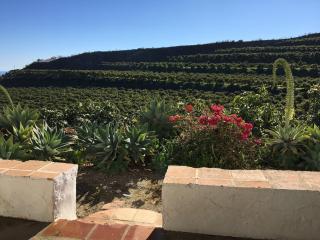 Casa La Dehesa - Huertas Bajas - 4