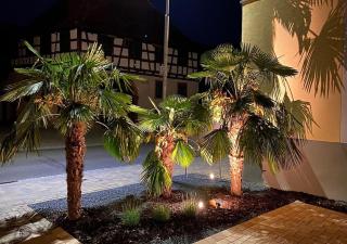 Hotel Engel - Kappel-Grafenhausen - 3