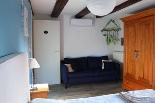 Sous les toits du Zinc - Climatisé - Colmar - 5