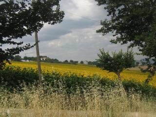Il Giardino Degli Ulivi - Appignano - 9