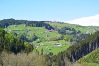 Biohof Himbrechtsöd - Waidhofen an der Ybbs - 3