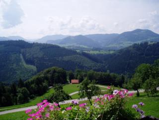 Biohof Himbrechtsöd - Waidhofen an der Ybbs - 8