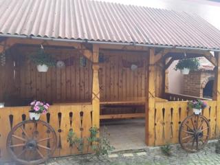 Pensiunea Răzvan - 4