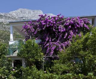 House Marta - Baška Voda - 0