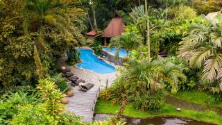 Lost Iguana Resort and Spa - Fortuna - 3