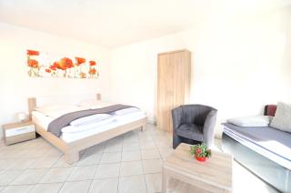 Apartment Strasbourg - Europapark / Wallaston - Offenburg - 9