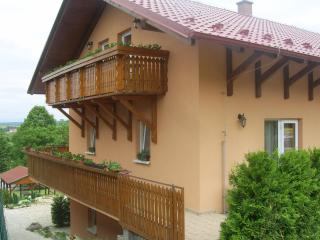 Penzion Zlatá rybka - Podhájska - 7