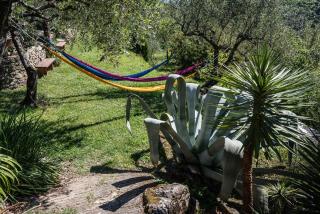 La Fattoria di Nonna Eugenia - Lerici - 8