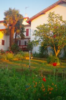 Maison Elizondoa - chambres, restaurant et SPA - Masparraute - 6