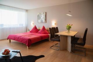 Apartment "Köhler" mit Berg- und Bodenseesicht - Oberteuringen - 7
