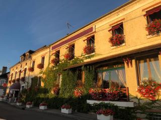 Hotel De La Loire - Saint-Satur - 6