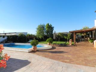 Elegant villa in Padul with private pool - El Padul - 0