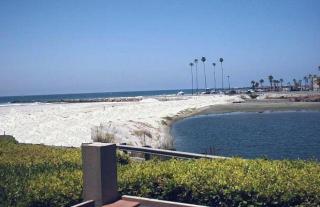 G25 - Palm Beach Cottage - Oceanside - 8