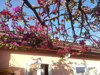 L'alberghetto Casavacanza Milazzo - 9