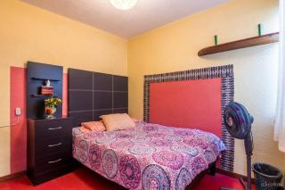 Nice full apartment, downtown on foot - Città del Messico - 1