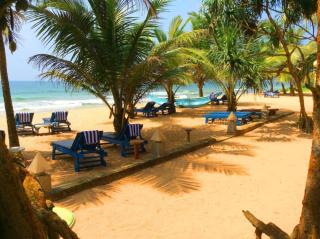 Oasey Ayurveda Hotel - Bentota - 7