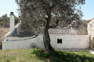 Dimora Casanoja - Noci - 6