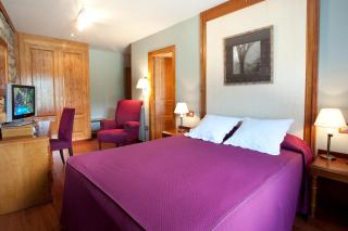 Hotel Diamó - Castejón de Sos - 5