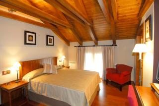 Hotel Diamó - Castejón de Sos - 7