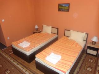 Kestenite Family Hotel - Samokov - 4