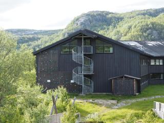 Sirdal Høyfjellshotell - Fidjeland - 8