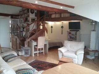 La Casa Victoria -Stanislas area -Suite 65m2 OR Loft 75m2 - Nancy - 7