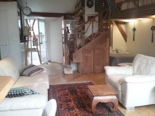 La Casa Victoria -Stanislas area -Suite 65m2 OR Loft 75m2 - Nancy - 1