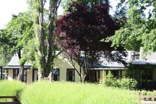 Shades of Arrowtown - Arrowtown - 4