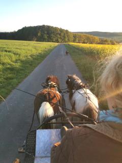 Lavendelmond Ferien - 8