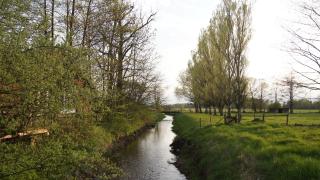 Brackstedter Mühle e.K. - Wolfsburg - 5