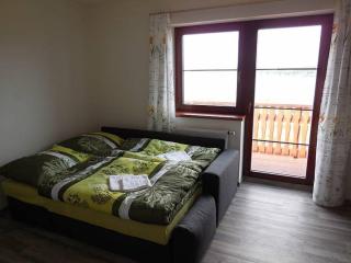 Apartmány Kovadlina - Frymburk - 9