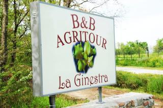 La Ginestra - Orentano - 9