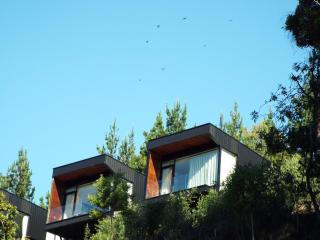 Pura Lodge - Concepción - 1