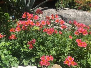 Les Belles Terrasses - Tourrettes-sur-Loup - 4